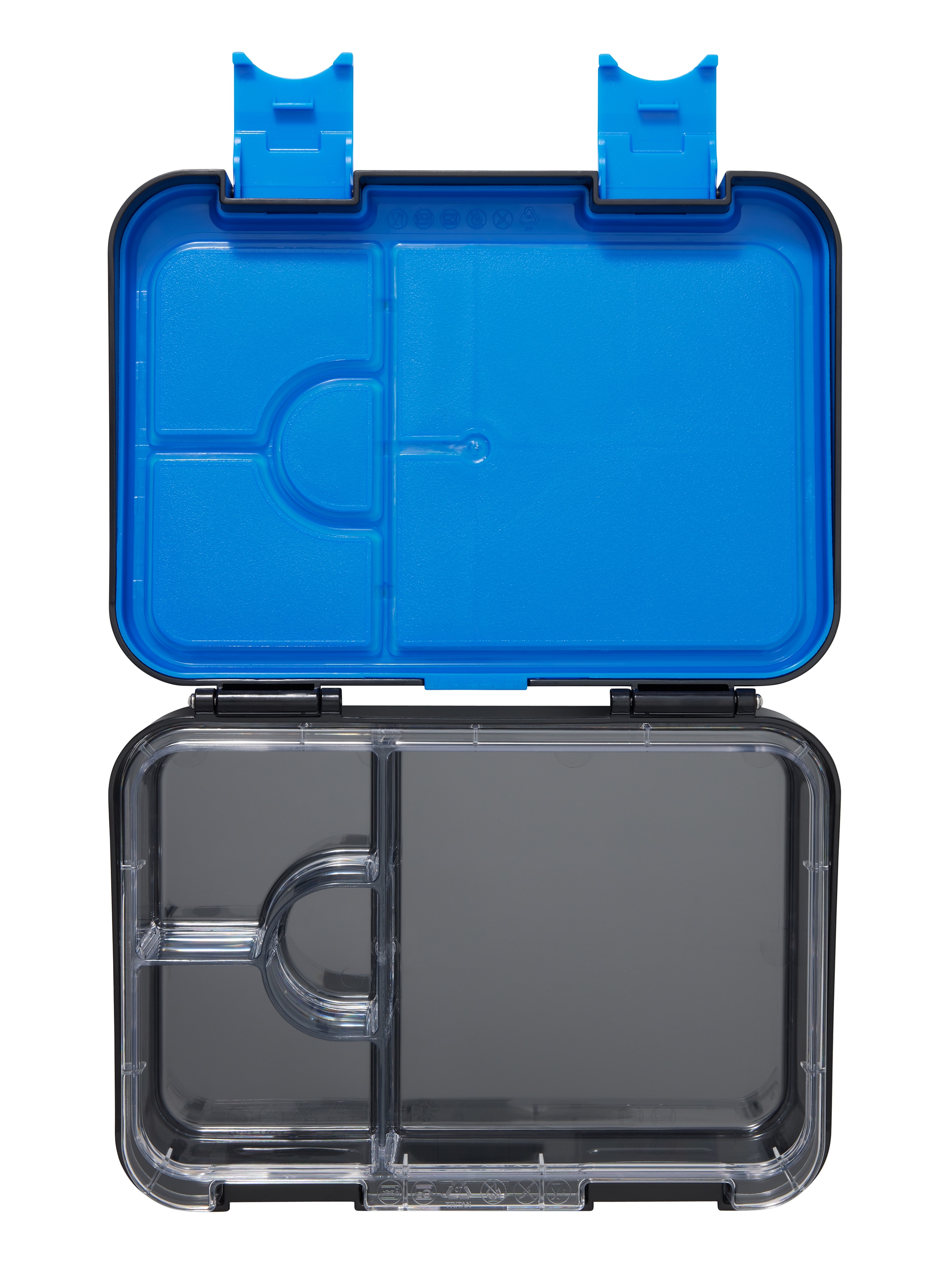 Curious Medium Bento Lunchbox